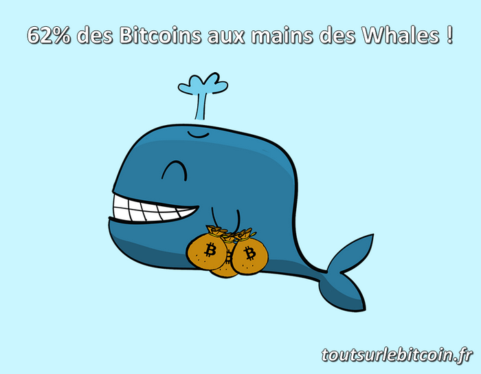62% de tous les Bitcoins sont aux mains des Whales !