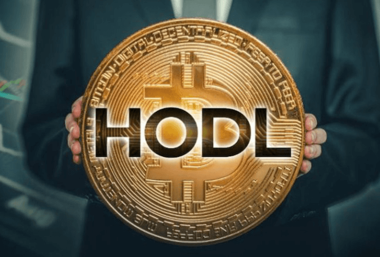 Bitcoin : just HODL