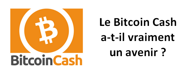 Le Bitcoin Cash a-t-il vraiment un avenir ?