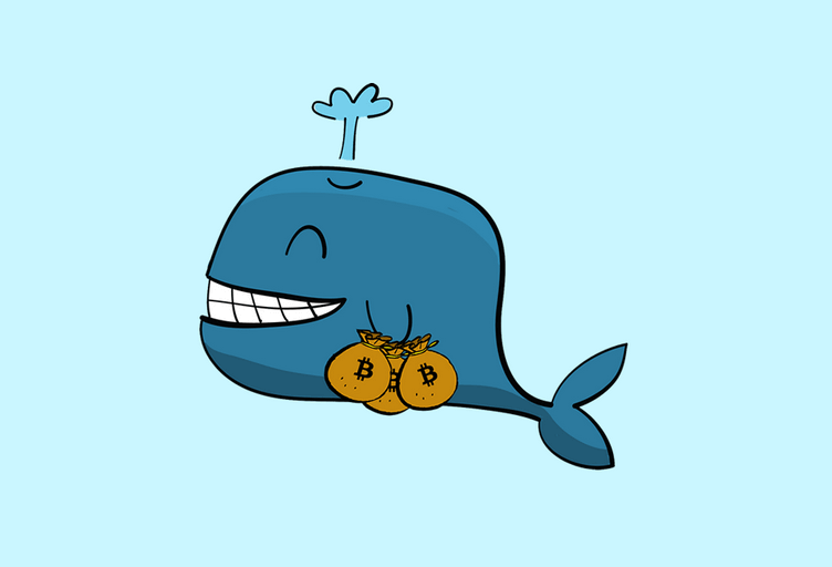 Les Whales du Bitcoin