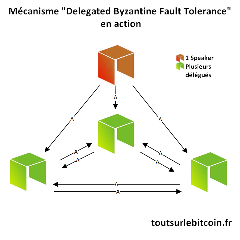 Mécanisme dBFT en action